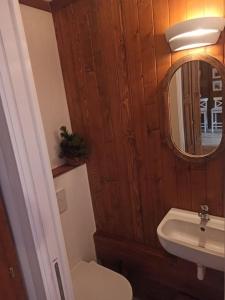 La salle de bains est pourvue d'un lavabo, de toilettes et d'un miroir. dans l'établissement Cozy apartment in the heart of the Alps, à Château-d'Oex