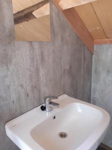 a bathroom with a white sink and a mirror at Natuurslaapkamer de zaadeest boskamer in Lomm