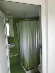 een badkamer met een douchegordijn en een wastafel bij Boravak Oporavak Jelica Guča Rtari in Rtari