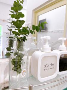 a glass bottle with a plant in it next to a mirror at Mai Anh Homestay Long Hải in Long Hai