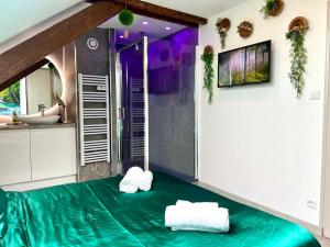 Kupatilo u objektu Natural Suite - Proche Gare - 4P