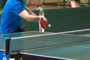 Stolní tenis v ubytování Brambles nebo okolí