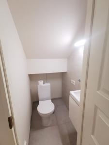 a small bathroom with a toilet and a sink at Vytauto 421 Apartments by JK in Palanga