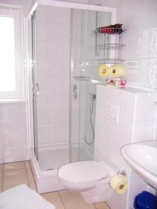 uma casa de banho com um chuveiro, um WC e um lavatório. em LANDHAUS JASMIN ausgezeichnet mit 4 Kristallen - FW Kammblick em Bad Mitterndorf