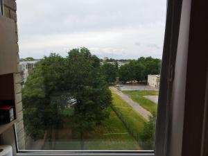 a view of a tree from a window at Itaja apartment 50 in Šiauliai