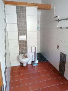 a bathroom with a toilet and a red tile floor at Spehnerhof in Vogt