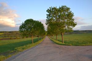 Gallery image of Chalet au bord d'un étang, près d'une ferme pédagogique in Château-Voué +19 photos