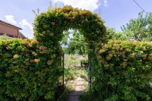 un ingresso a un giardino con arco ricoperto di fiori di Casa Fiorella - Irpinia a Lioni