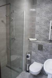 a bathroom with a shower with a toilet and a sink at Hotelik Kościerzyna in Kościerzyna