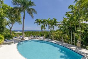 a swimming pool with chairs and palm trees at Luxurious 5-bedroom cottage with Private Pool in Hopewell