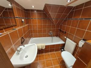 a bathroom with a sink and a tub and a toilet at Apartment Alte Post-3 by Interhome in Aggsbach