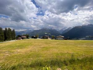 a field of grass with mountains in the background at Apartment Lechner by Interhome in Mittersill