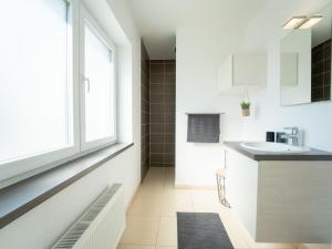 uma casa de banho com um lavatório e uma janela em Apartment Caddy by Interhome em De Haan