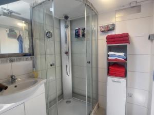 a bathroom with a shower and a sink at Apartment Garden-2 by Interhome in Karl