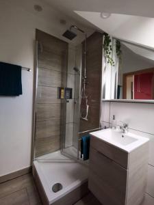 a bathroom with a shower and a sink at Studio und Apartment auf dem Pferdehof in Burgpreppach
