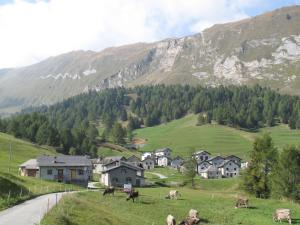 Paesaggio naturale nelle vicinanze dell'appartamento