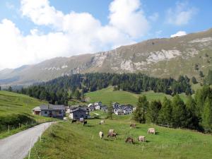 Paesaggio naturale nelle vicinanze dell'appartamento