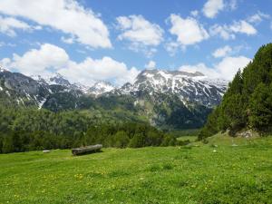 Paesaggio naturale nelle vicinanze dell'appartamento