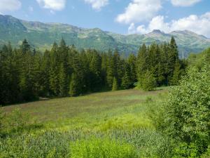 Paesaggio naturale nelle vicinanze dell'appartamento