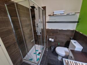 a bathroom with a shower and a toilet at Vegueta Casa Los Girasoles in Las Palmas de Gran Canaria