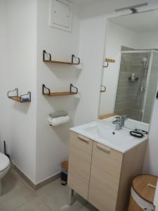 ein Badezimmer mit einem Waschbecken, einem WC und einem Spiegel in der Unterkunft Chez Candie in La Trinité