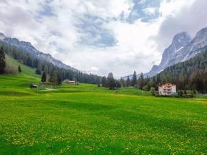 a field of green grass with mountains in the background at Chalet Cesa Galaldriel-3 by Interhome in Penia