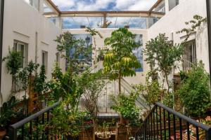 A garden outside Hotel Alquimia Cadiz