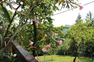 różowe kwiaty wiszące na drzewie w obiekcie Marley kuca za odmor w mieście Bešenovački Prnjavor