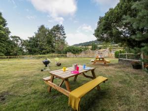 two picnic tables in a field with a grill at Pentre Court Cottage in Abergavenny