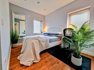 een slaapkamer met een bed en een potplant bij Private Room in Lucan
