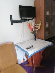 a table with a tv and a vase of flowers on it at Kleines Haus im Oderbruch in Neutrebbin