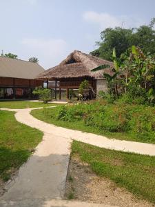 a path leading to a building with a straw roof at Maila 