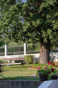 a park bench next to a tree and flowers at Villa Pari Apartment in Kotor