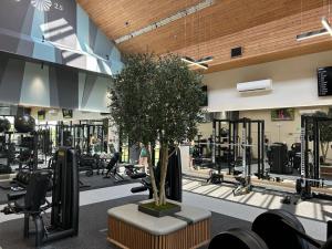 a gym with a tree in the middle of it at Champneys Springs in Ashby de la Zouch