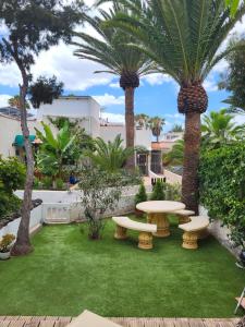 a garden with two tables and palm trees at Studio with garden in Arona