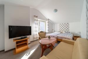 a living room with a couch and a tv at Willa Kaliniec in Karpacz