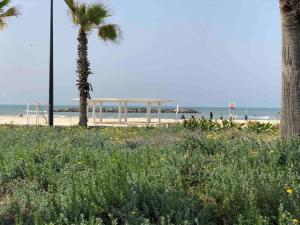 a beach with a gazebo and palm trees and the ocean at Villa SUN in Ashkelon