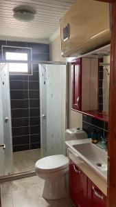 y baño con aseo, lavabo y ducha. en İSGOBYA DAŞ GONAK DAĞ EVLERİ, en Trabzon