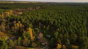 an aerial view of a forest with houses and trees at Domki Nad Tanwią in Susiec