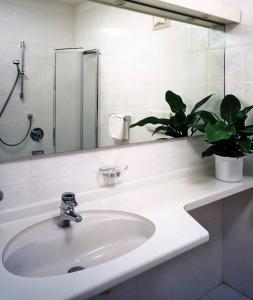 ein Waschbecken mit einem Spiegel und einer Topfpflanze in der Unterkunft Residence Unterhuber in Innichen