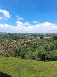 a green field with trees in the distance at Apartamentos y Piscina a 3 min del Parque Cafe in Montenegro