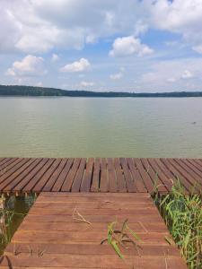 a wooden dock on a body of water at Jagodzianka in Miłki
