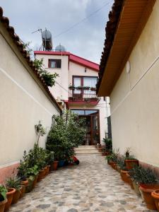 a courtyard of a building with potted plants at Vila Kodra in Tirana