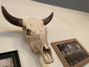 un crâne d'un animal avec des cornes sur un mur dans l'établissement Painted Lady Bed & Brew, à Albuquerque