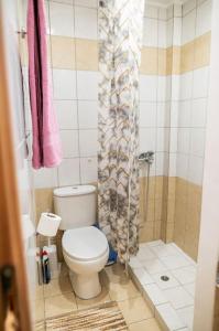 a bathroom with a toilet and a shower at Zografia - Charming House near the coast in Kos