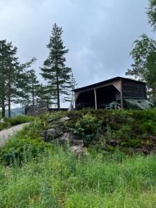 Drangedal的住宿－Leilighet på Gautefall，一座树冠茂密的山顶上的建筑