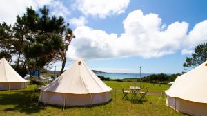 Příroda nedaleko luxury tent