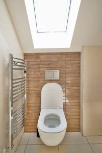 a bathroom with a white toilet with a skylight at Penzion SALAŠ in Salaš