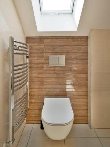 a bathroom with a white toilet and a skylight at Penzion SALAŠ in Salaš