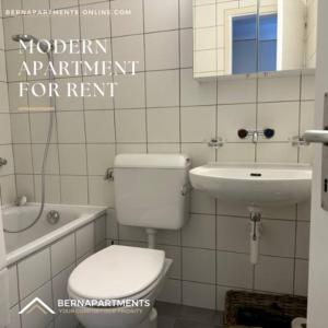 a bathroom with a toilet and a sink at City-Home: 6P-80qm 6km HB Bern in Zollikofen